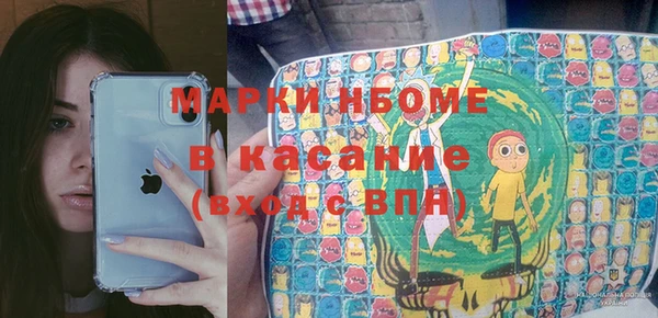 прущие грибы Абинск
