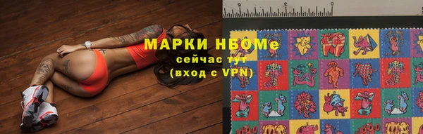 прущие грибы Абинск