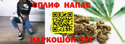 индика Чебаркуль