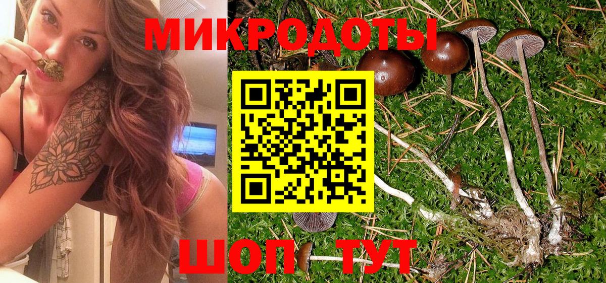 Псилоцибиновые грибы GOLDEN TEACHER  Вход с VPN  Приморско-Ахтарск 