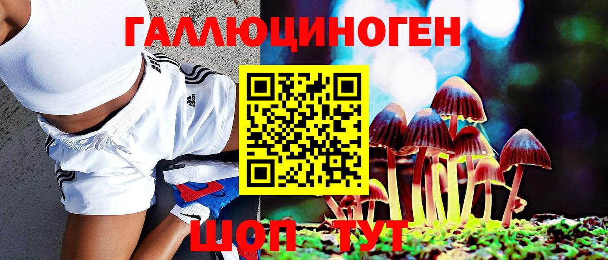 Псилоцибиновые грибы мицелий Приморско-Ахтарск